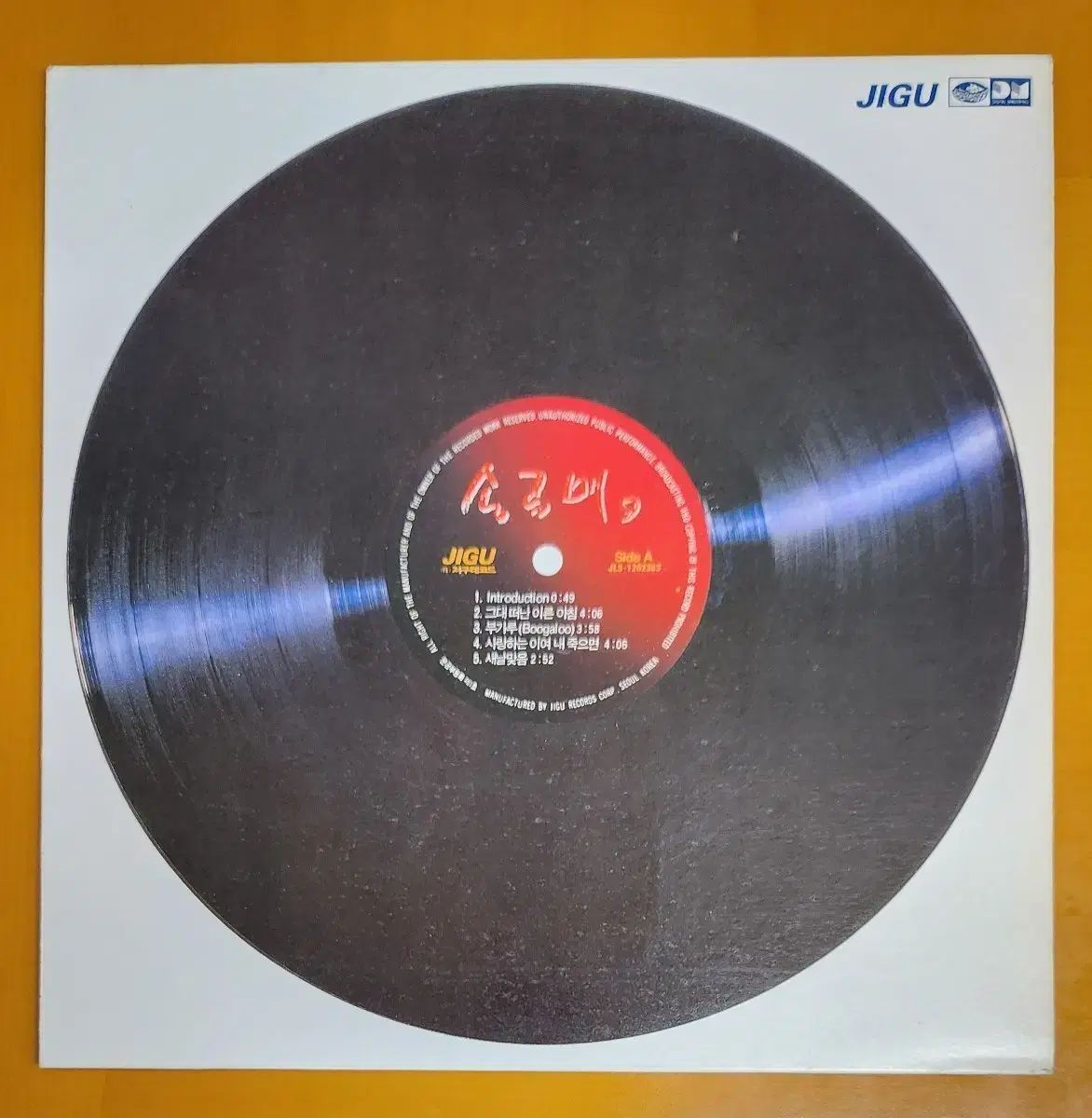 LP ソコトラオオワシ 9 家を愛する者よ 僕の あなたが死んだら