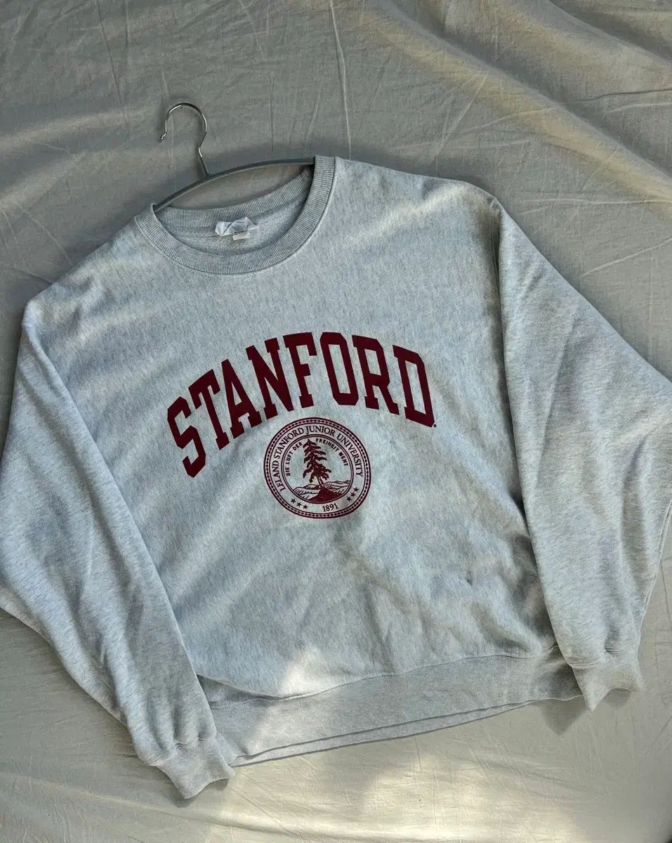 チャンピオン リバースウィーブ 00 s スウェット