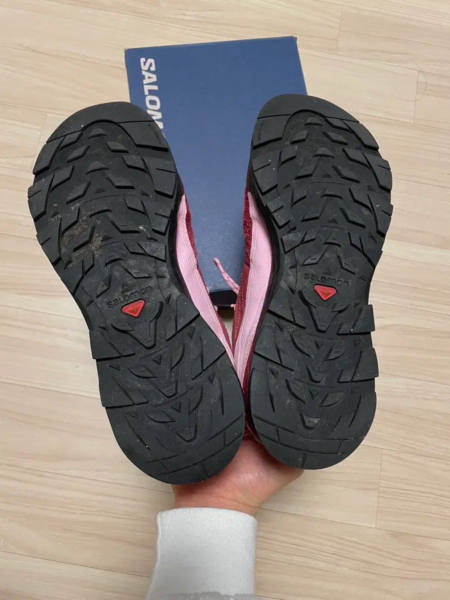 SALOMON アルピジ