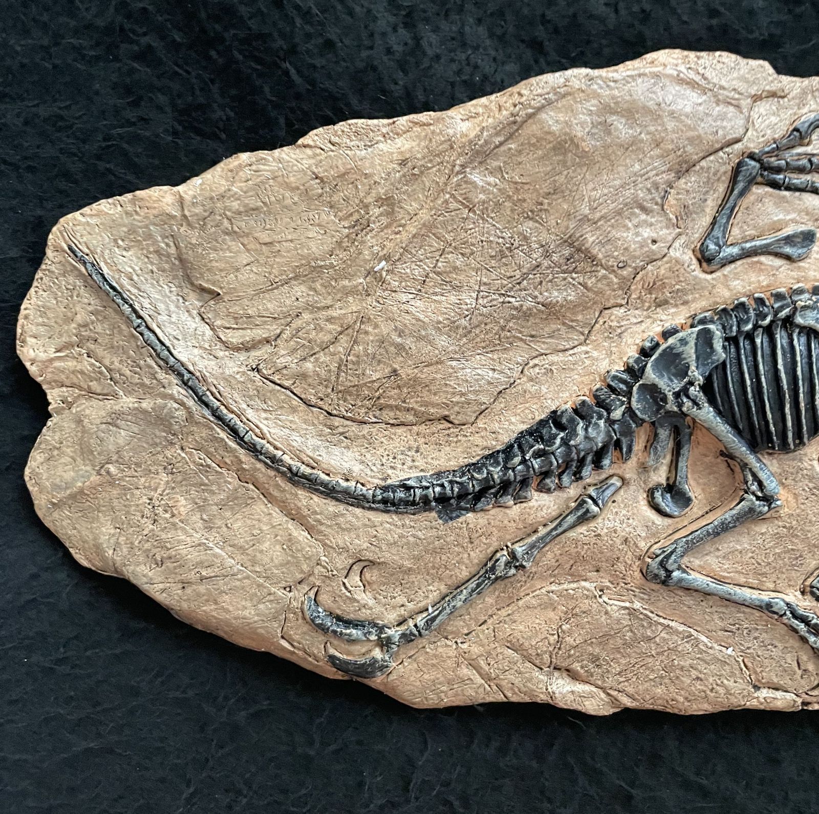 恐竜の化石レプリカ置物 33cm ティラノサウス インテリア - メルカリ