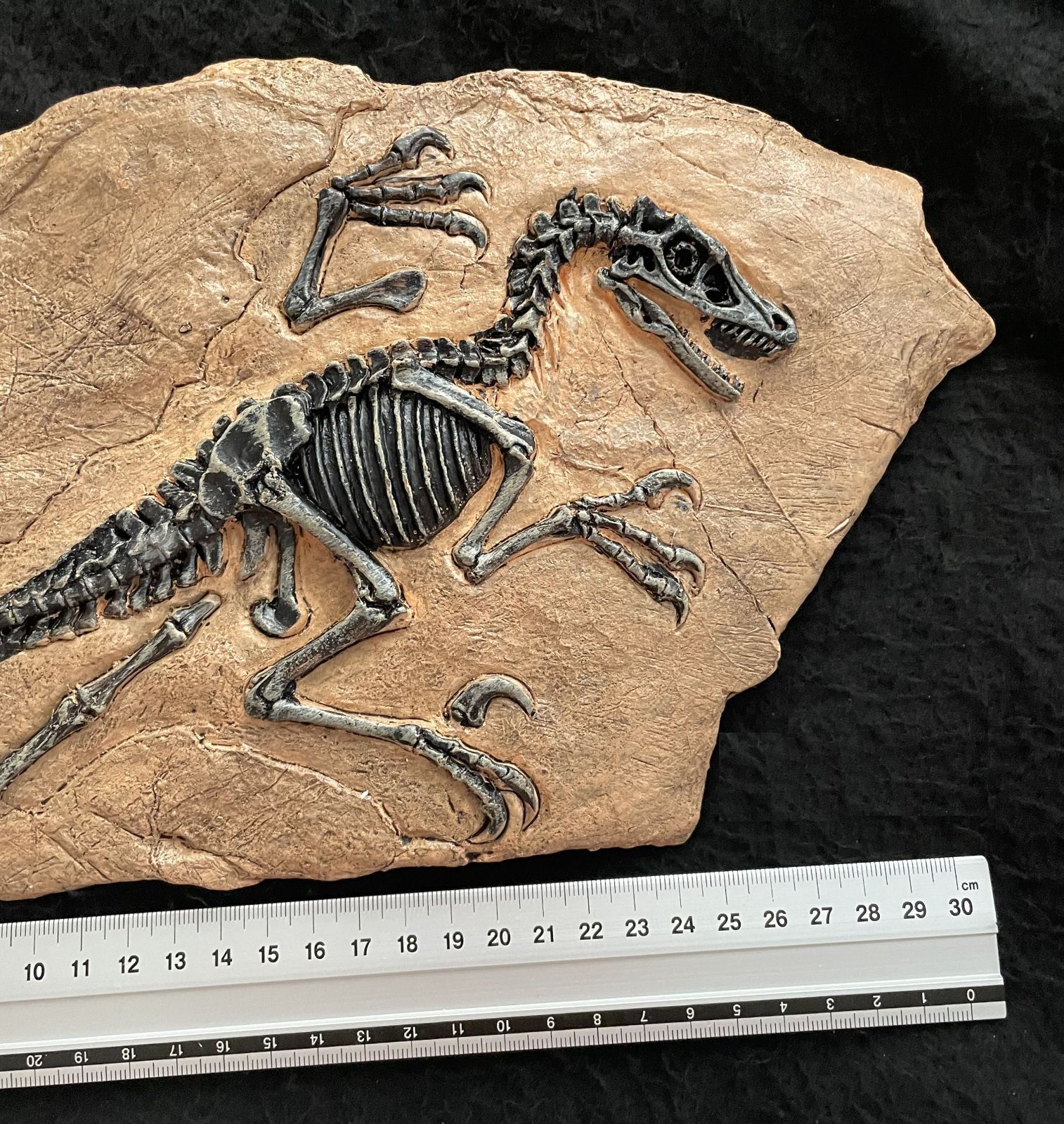 恐竜の化石レプリカ置物 33cm ティラノサウス インテリア - メルカリ