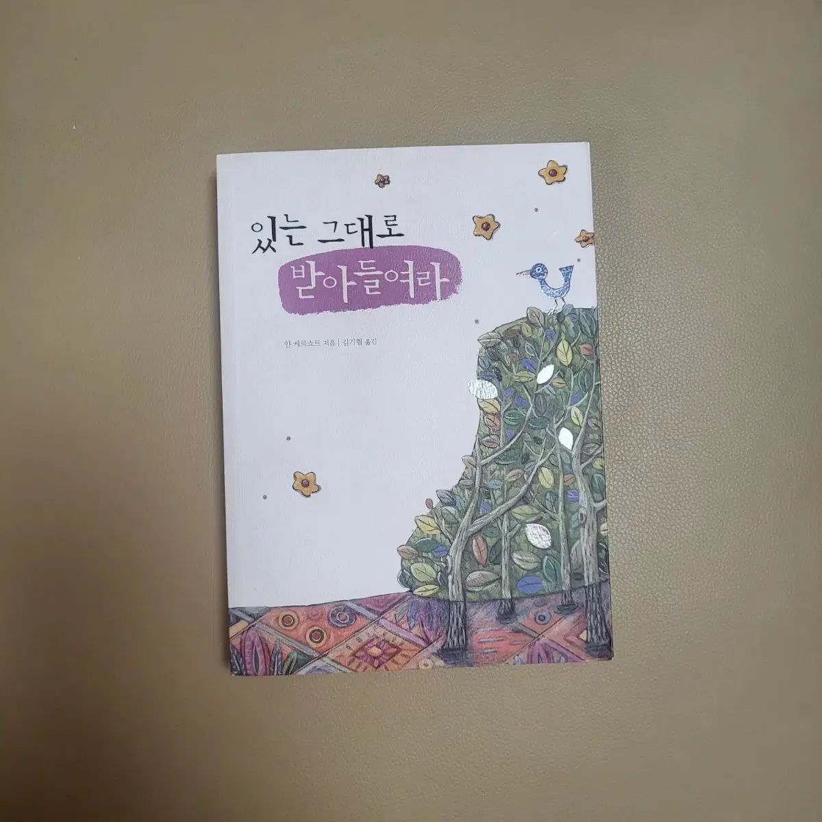 ありのまま受け入れよ (絶版 超レア 霊性本) 【公式通販】