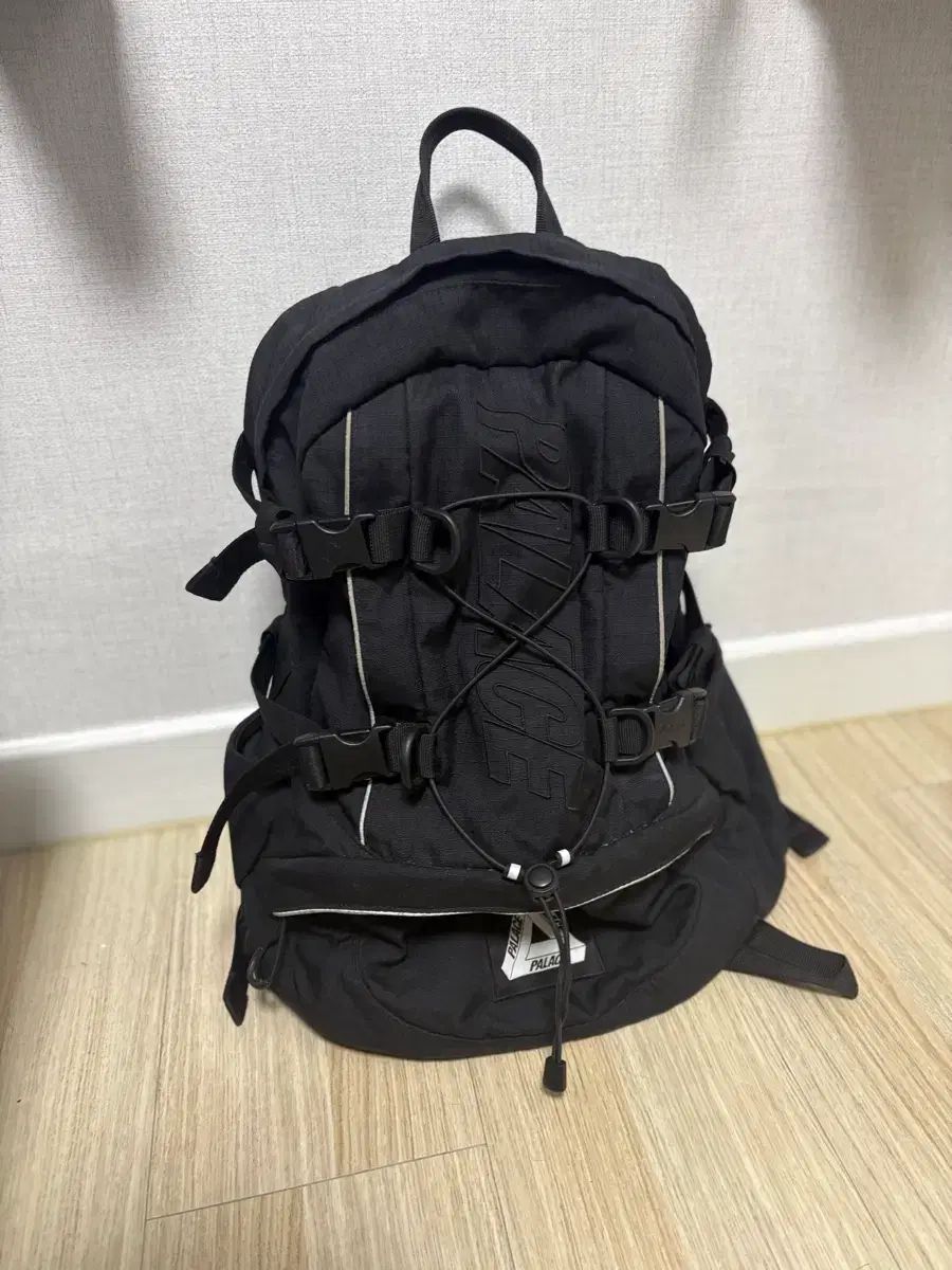 PALACE 21 ss コーデュラ バックパック