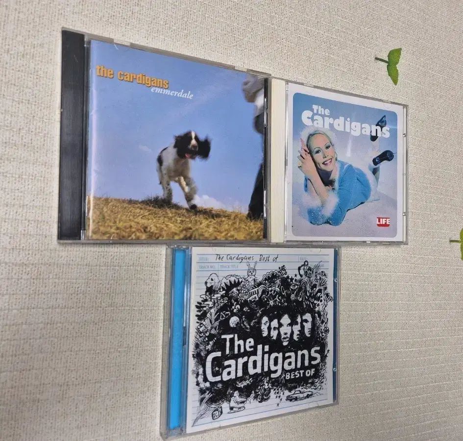 The Cardigans カーディガン CD アルバム 3 腸 まとめ売り