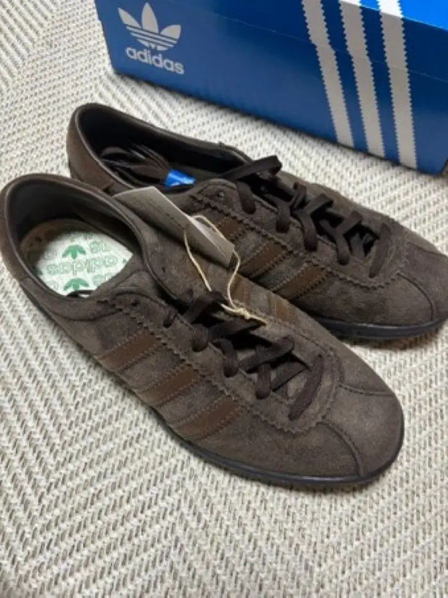 アディダス タバコ グルーエン ダークブラウン 240