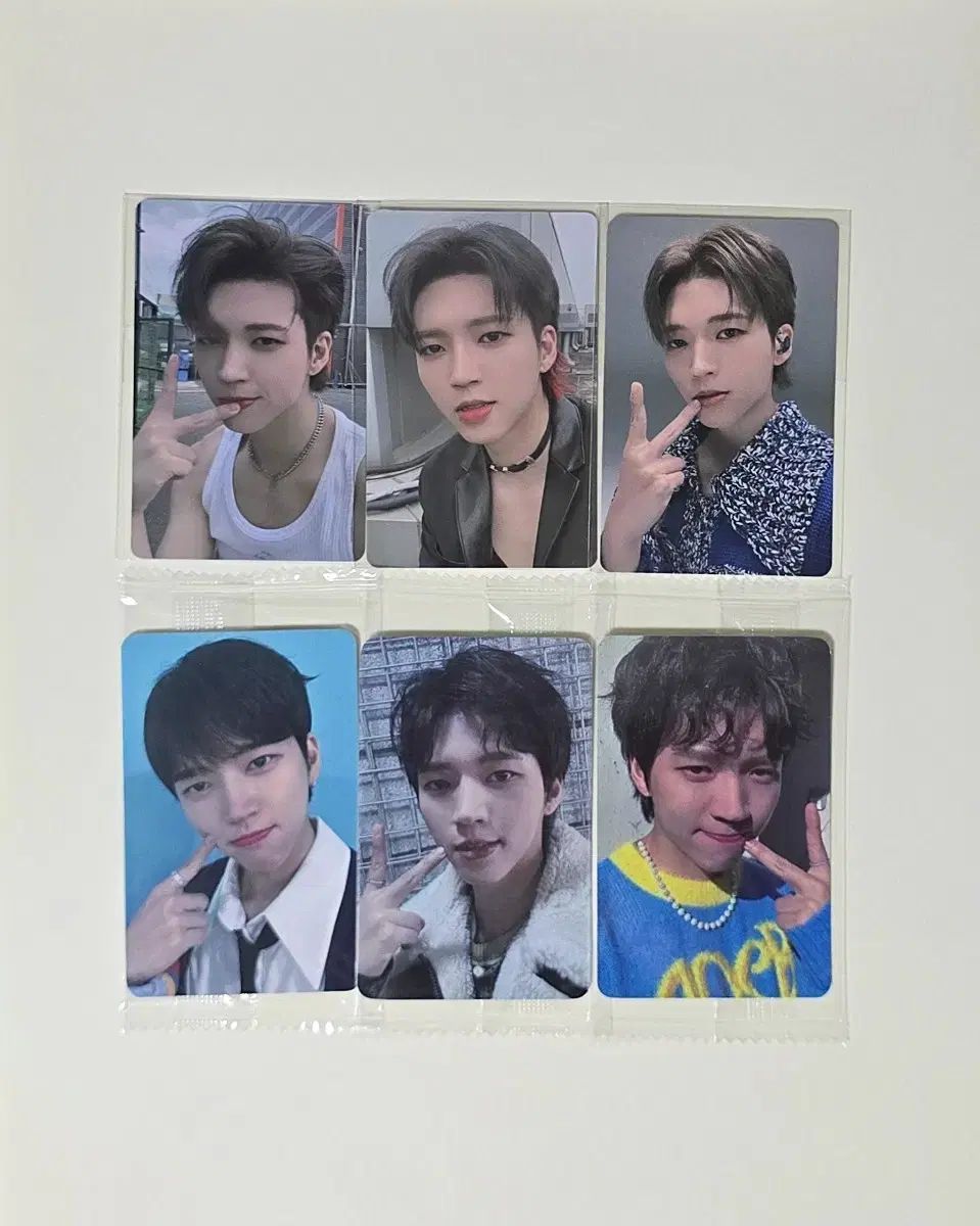 6枚セット ナム・ウヒョン 白 ツリー ファンサイン会 未公開トレカ