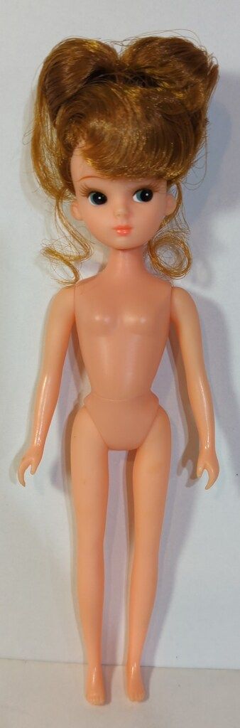 タカラ 復刻初代リカちゃん リカちゃん誕生25周年記念 ロビン - メルカリ