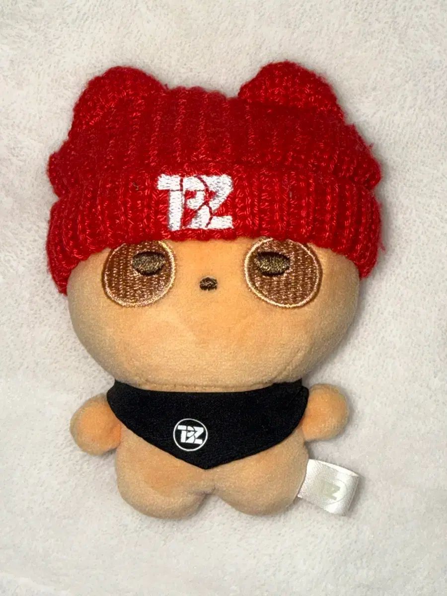 THE BOYZ(ザ・ボーイズ・ドボイズ) ソヌ(SUNWOO) ぬいぐるみ 떤굴이