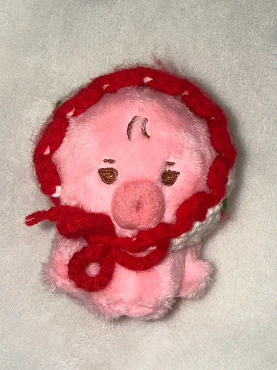 THE BOYZ(ザ・ボーイズ・ドボイズ) ソヌ(SUNWOO) ぬいぐるみ ぬい