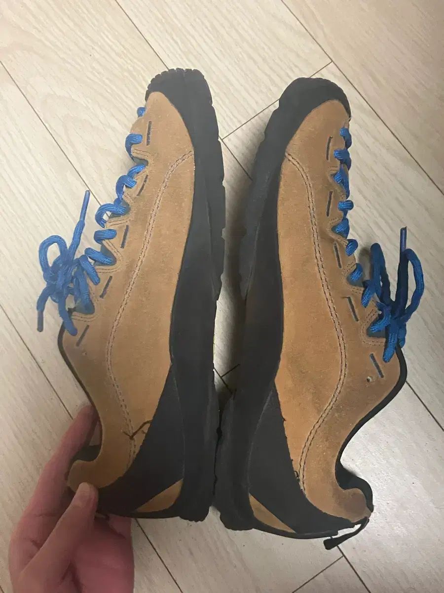 ジャスパー キャメル