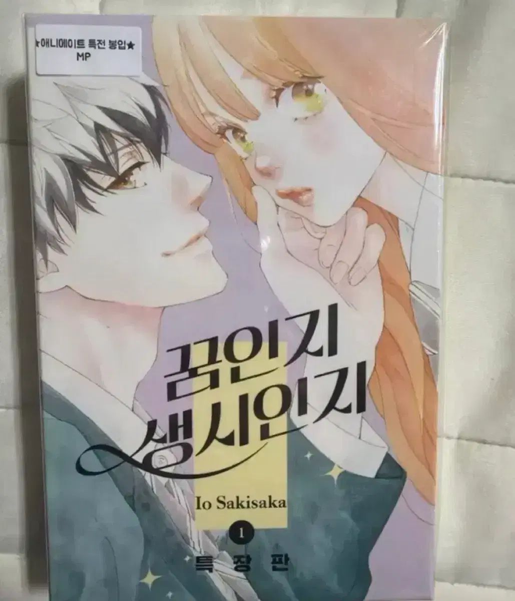夢なのか 生年始 モデル 1 2 巻 まとめ