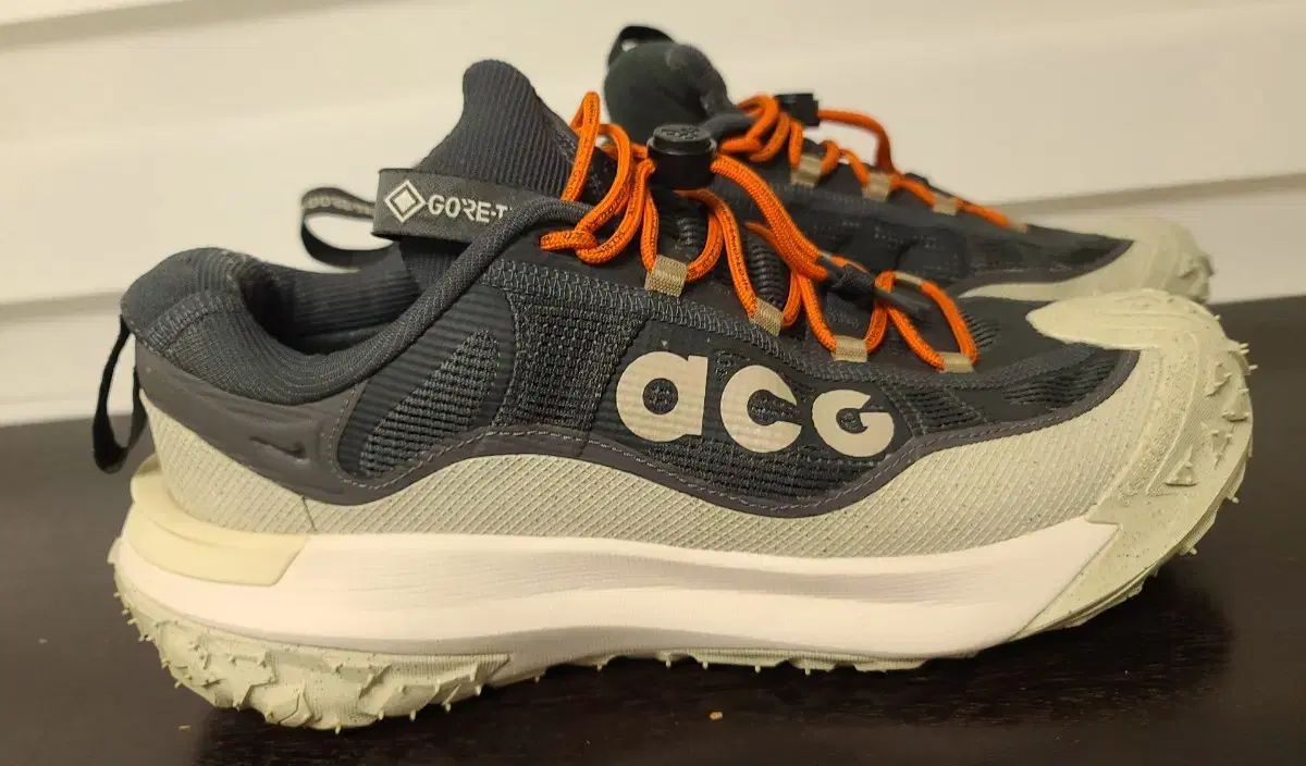 ACGマウンテンフライ 2 ロー ゴアテックス スニーカー 265