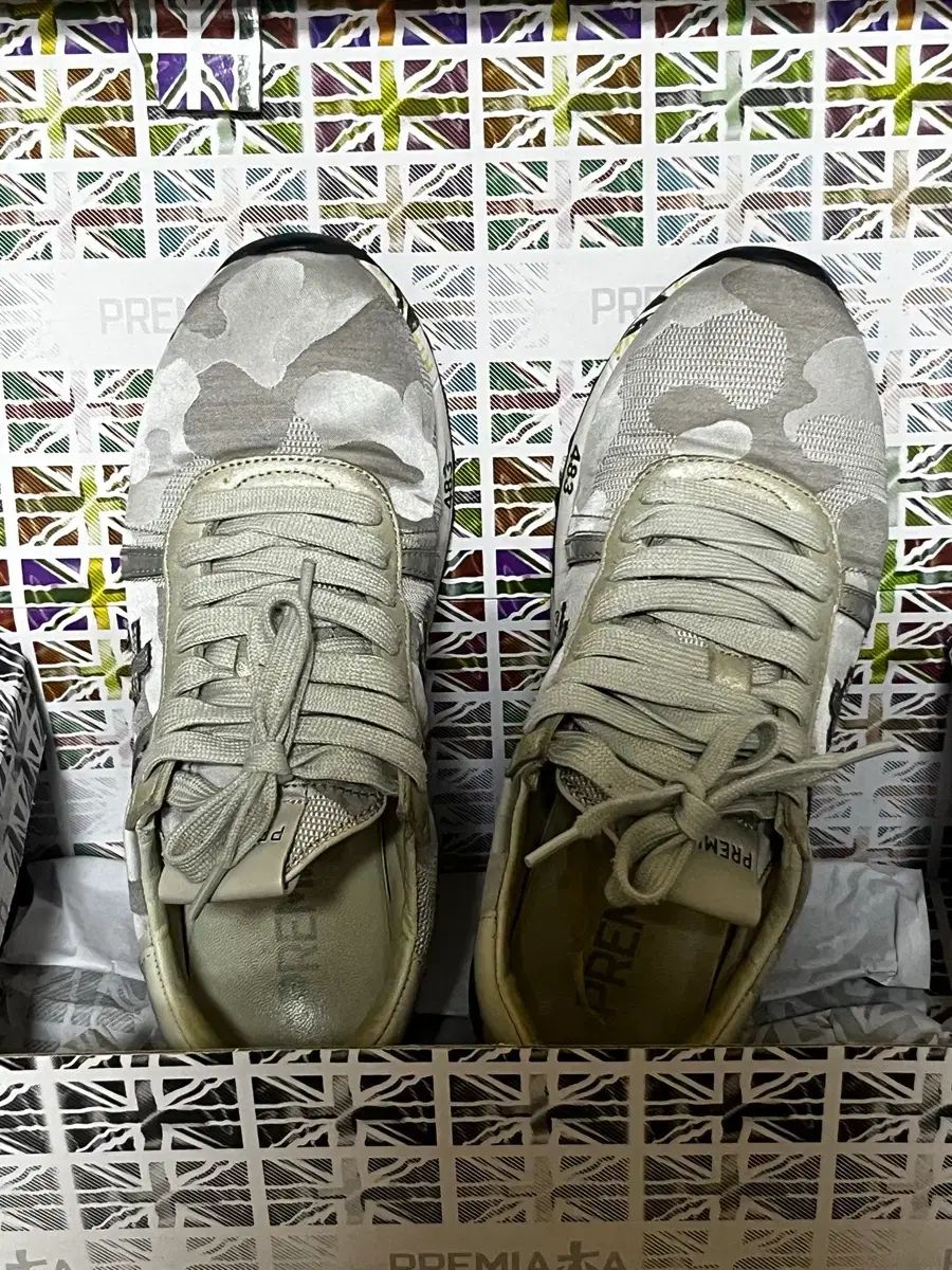 LUCY D 2951 カモグレー