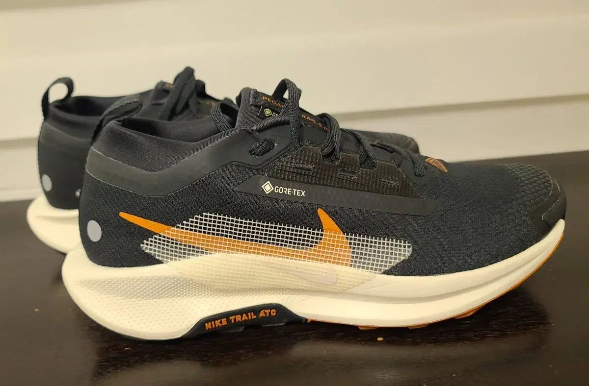 ナイキ ペガサス トレイル5 ゴアテックス 265