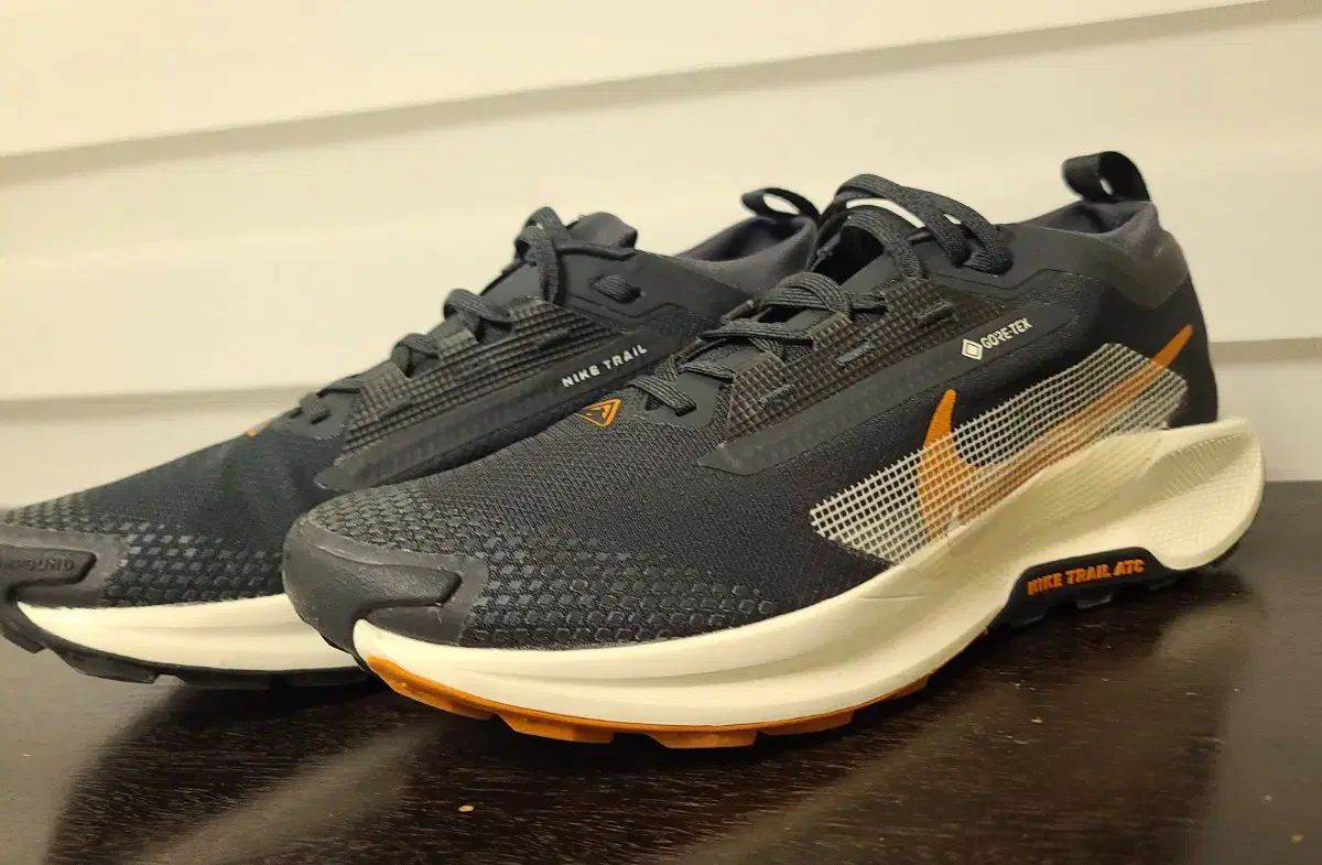 ナイキ ペガサス トレイル5 ゴアテックス 265