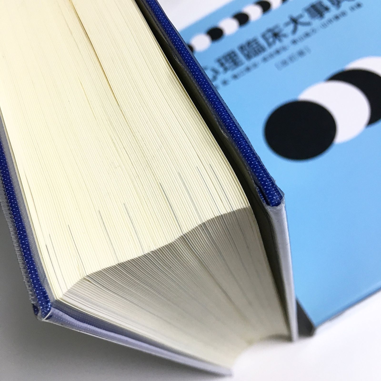 心理臨床大事典 心理臨床大事典 【公式通販】