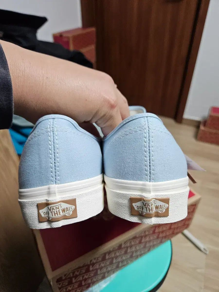 スカイブルー キャンバス