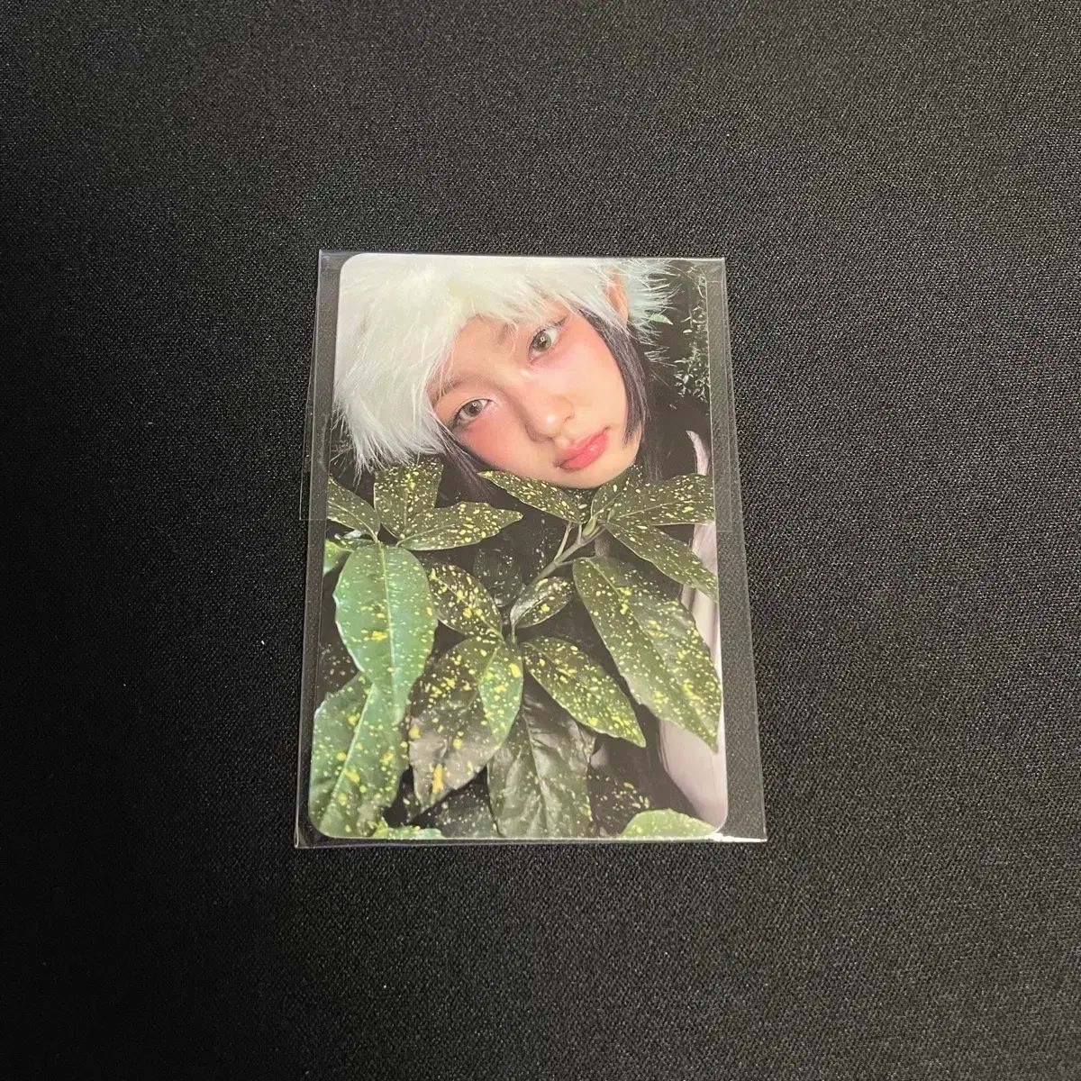 キキ キヤ 公開番組 サノク トレカ 出品 販売 - メルカリ