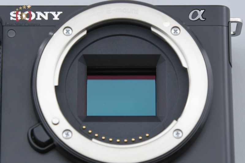 シャッター回数僅少 元