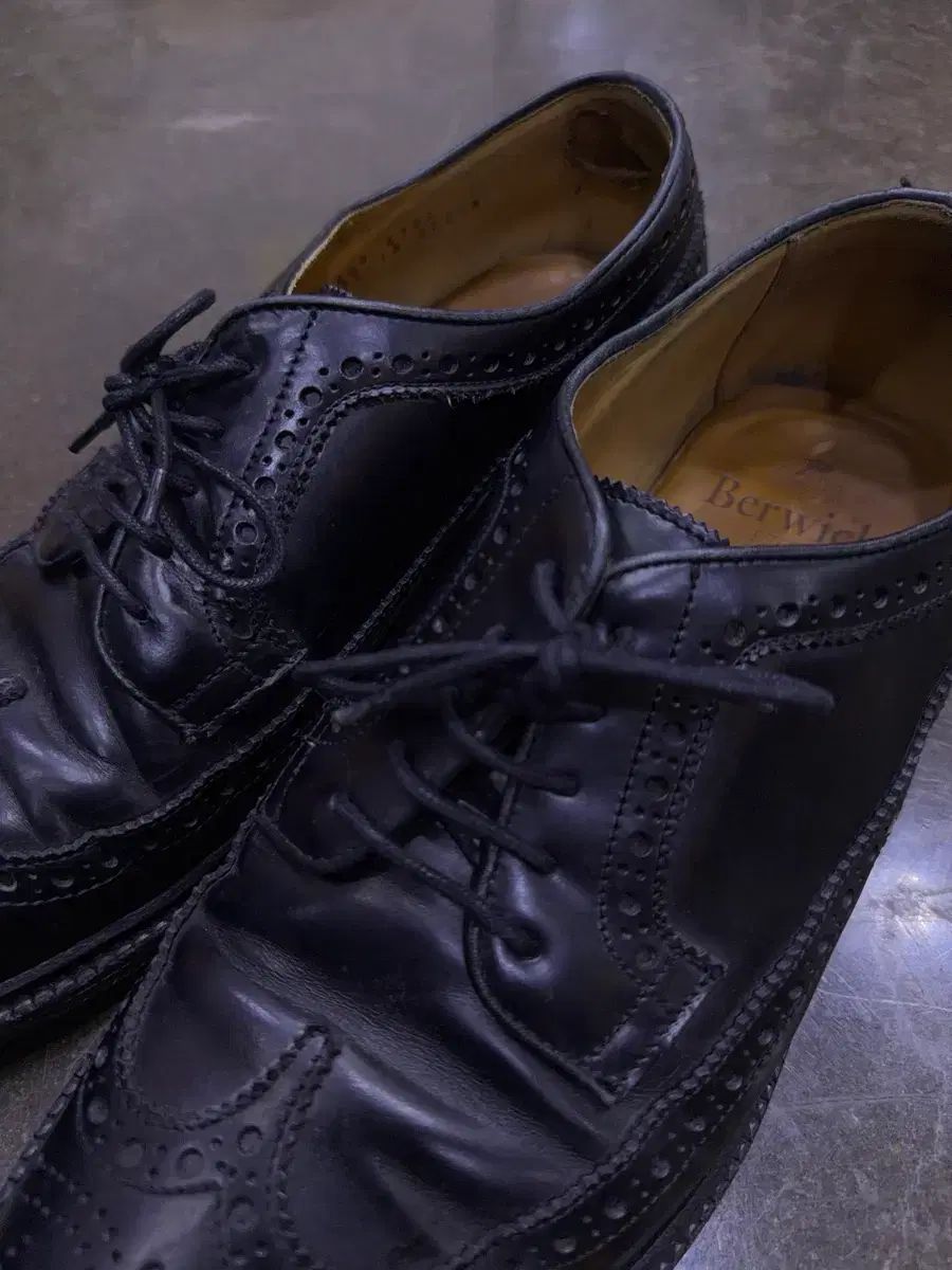 ウイングチップ