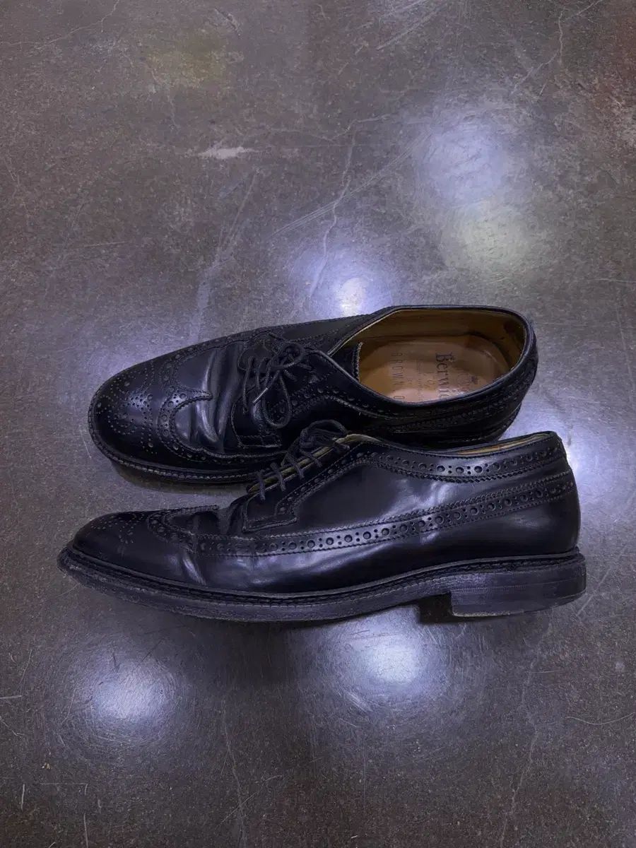 ウイングチップ