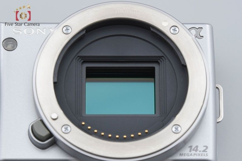 シルバー ミラーレス一眼カメラ