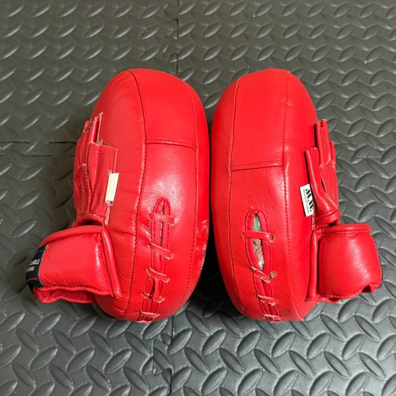 MARTIAL WORLD マーシャルワールド マルチパンチングミット パンチング