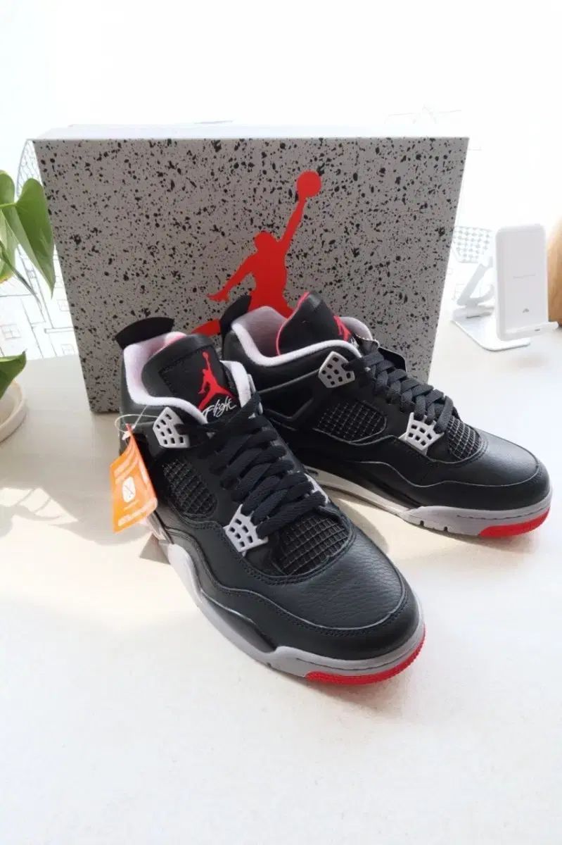 NIKE エア ジョーダン 4 レトロ ブラック レッド 270