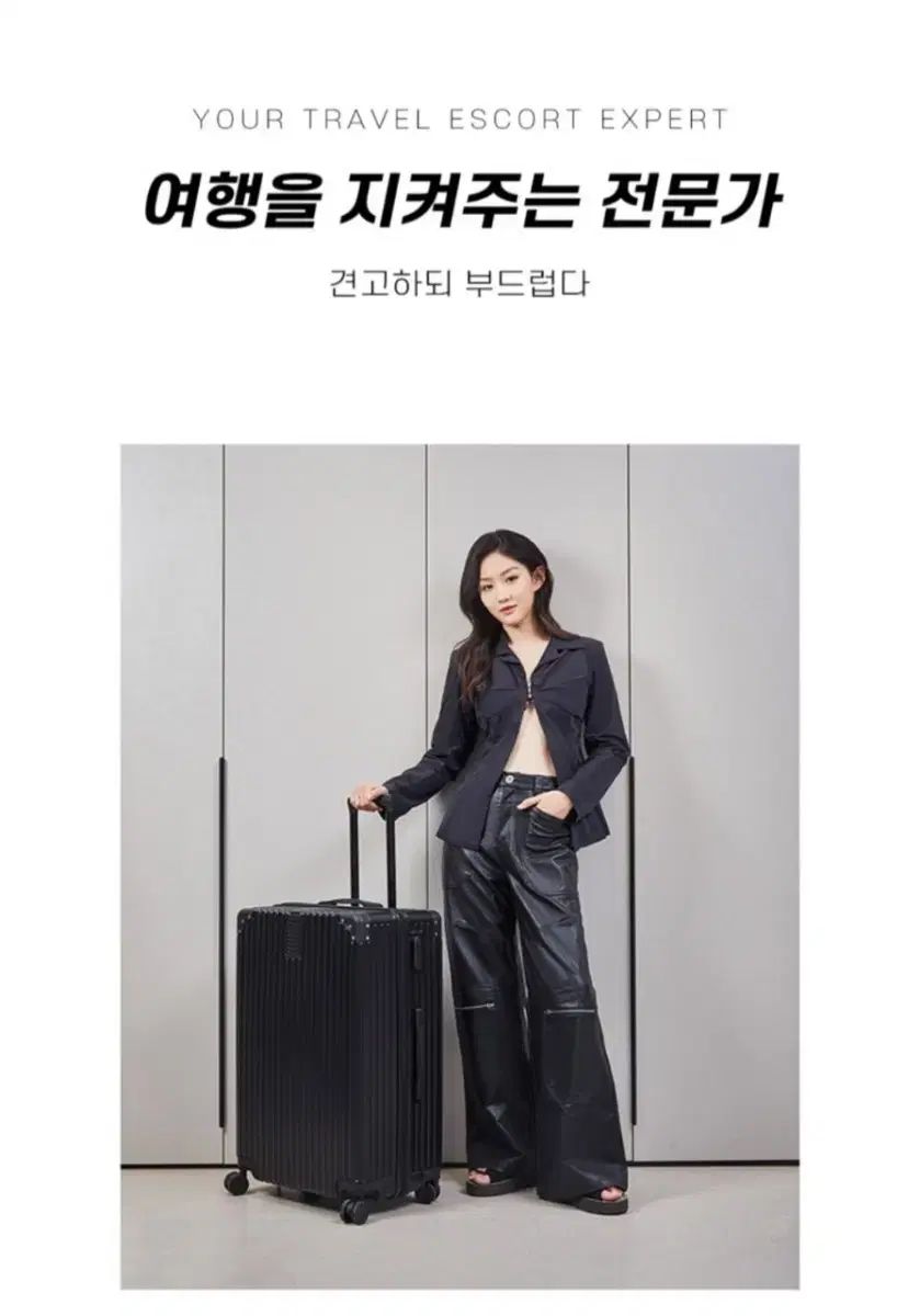 キャリアー 20インチ 機内用 大型 HARD 旅行用 Emo HARDキャ