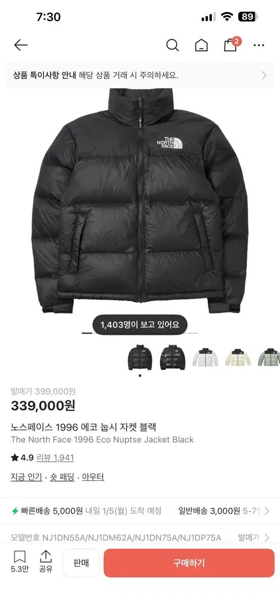 THE NORTH FACE ザノースフェイス 1996 エコー Ecco ヌプシ ジャケット ブラック L