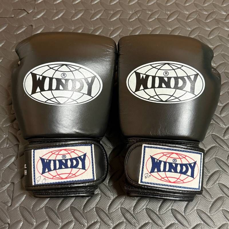 WINDY ウェンディ ボクシング グローブ 8 oz パンチング キック MMA 総合 格闘技 エクササイズ ダイエット フィットネス