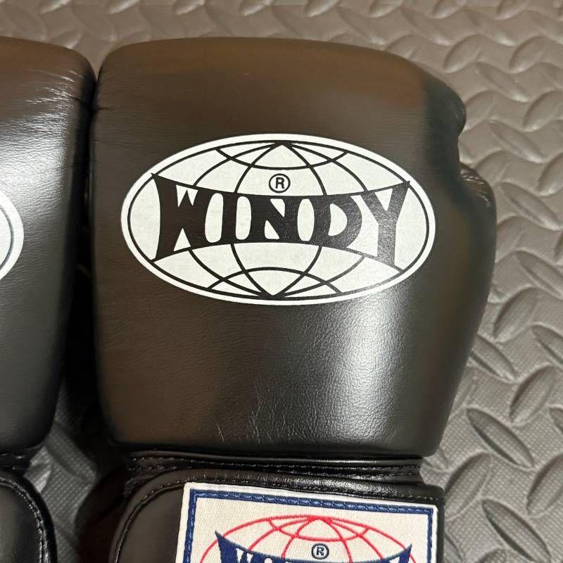 WINDY ウェンディ ボクシング グローブ 8oz パンチング キック MMA