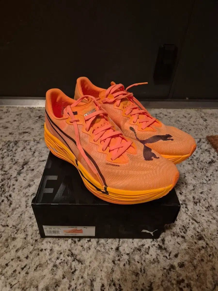 プーマ ディナエル3 ファンタ カラー 275