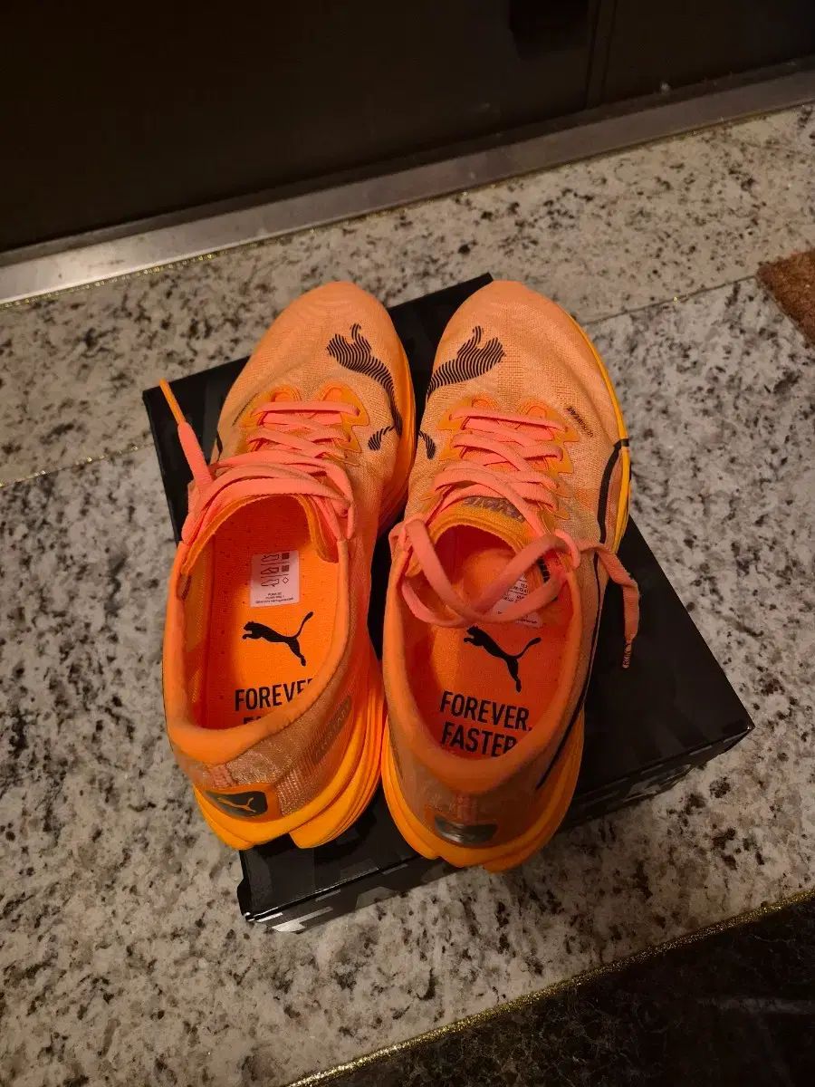  プーマ ディナエル3 ファンタ カラー 275 スニーカー 靴