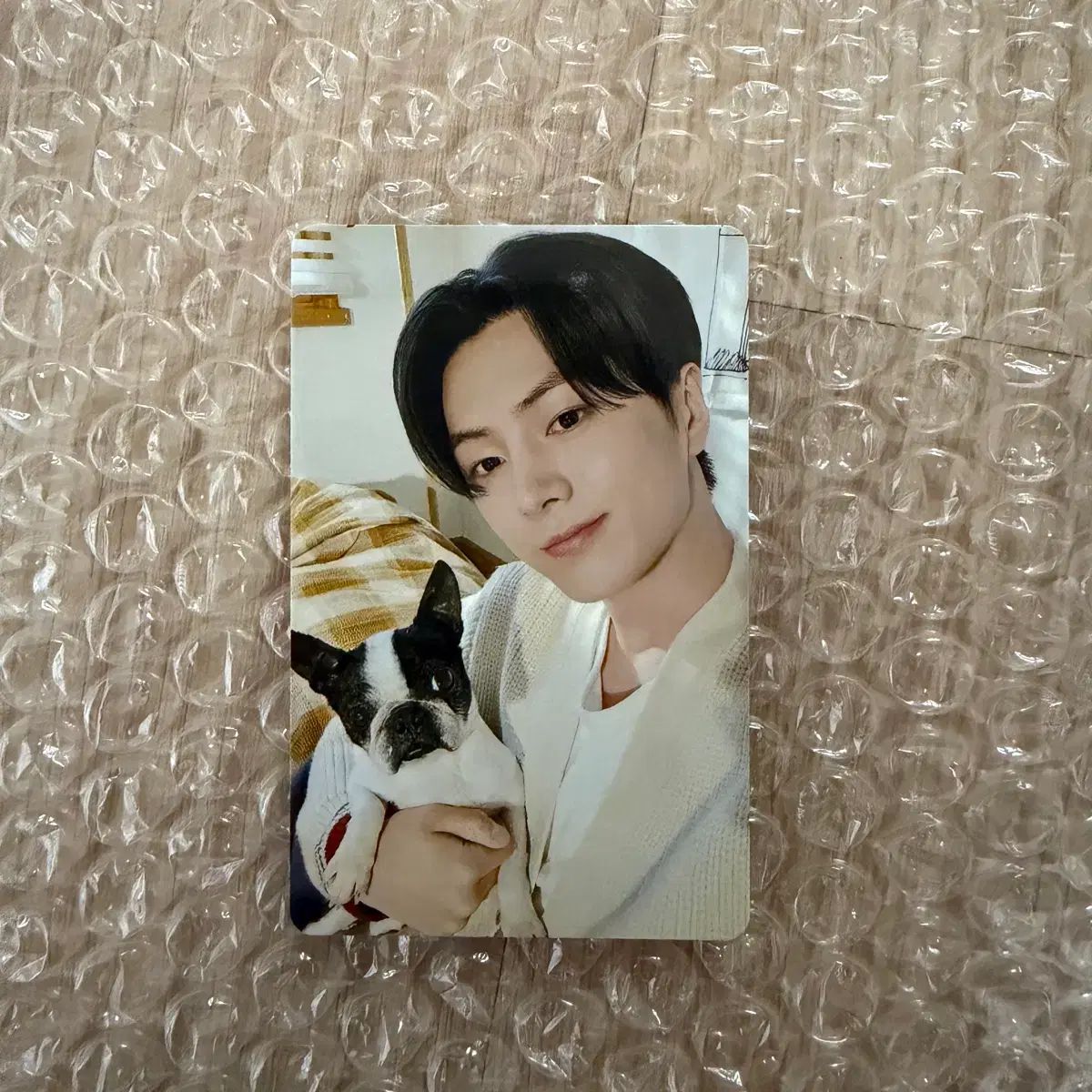 ENHYPEN ジェイ 日本 メンバーシップ アンケート 特典 トレカ