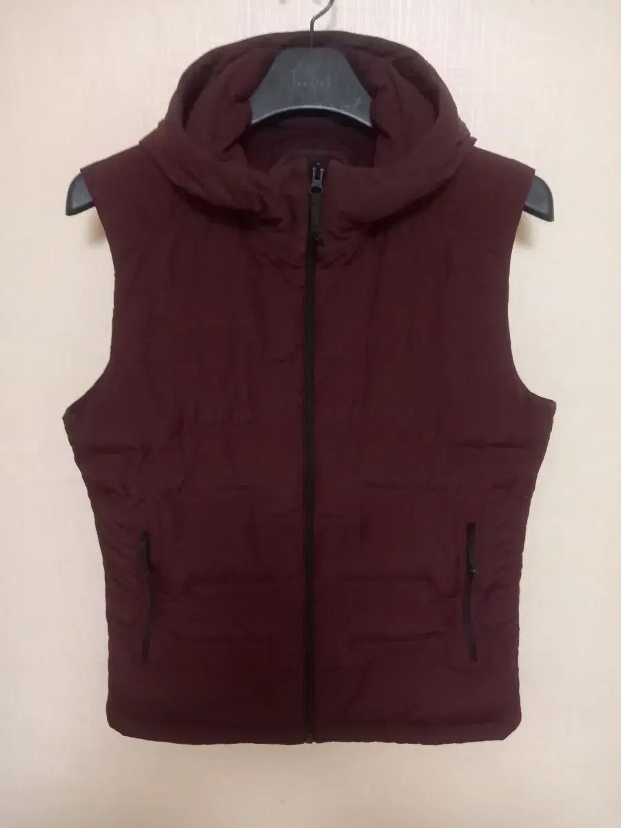 サラとグースフッドダウンベスト 95 細身100