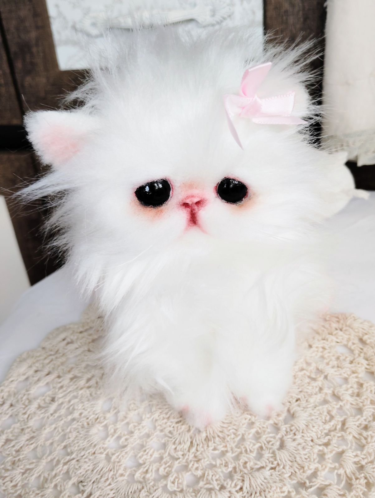 子猫のモアちゃん