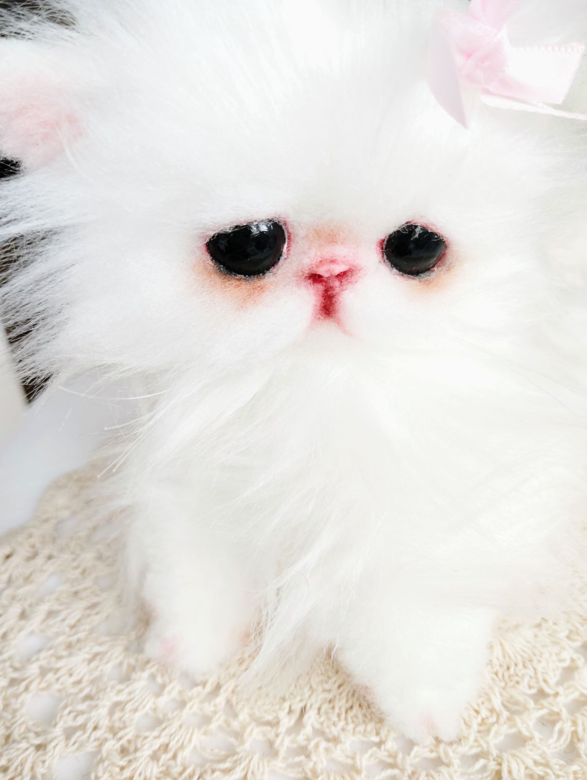 幼猫 子猫のモアちゃん