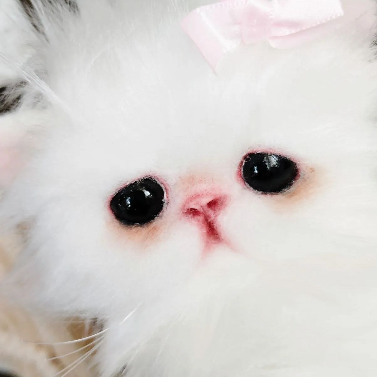 よちよち〜短足♡ころころボディ♡エキゾチック子猫ちゃん♡アートドール♡ぬいぐるみ よちよち〜短足♡ころころボディ♡エキゾチック子猫ちゃん♡アート