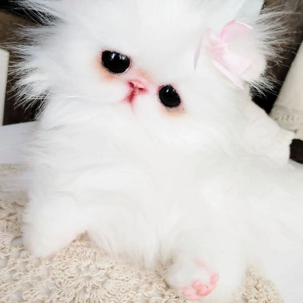 幼猫 子猫のモアちゃん