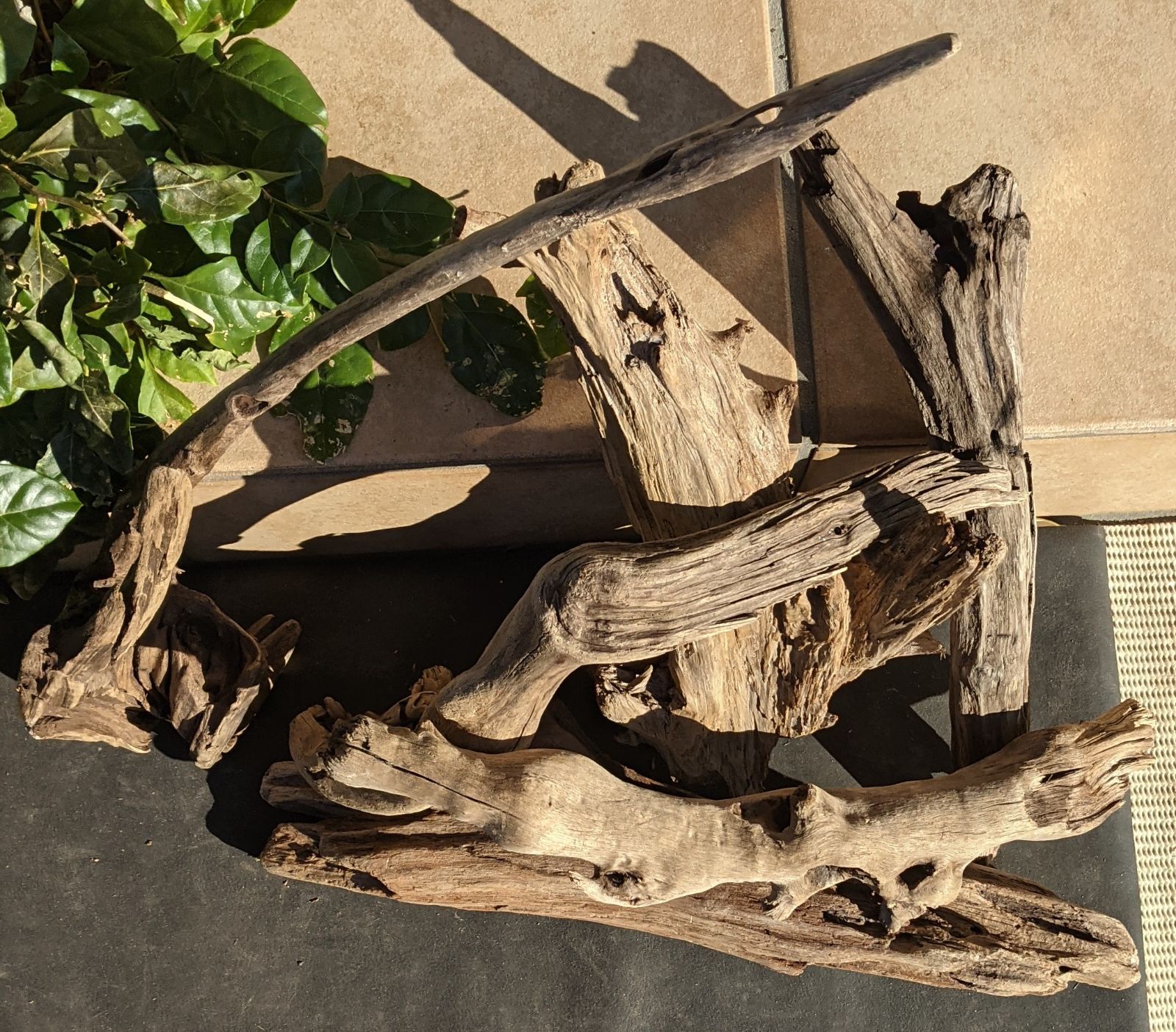 BB6『小型流木』10個組レイアウト用品、アク抜き済（沈水しません） 水槽用