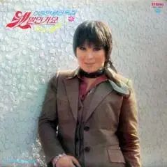 イ スンヨン ゴールデン ソリロジー 웬말인가요 定義 ブルース