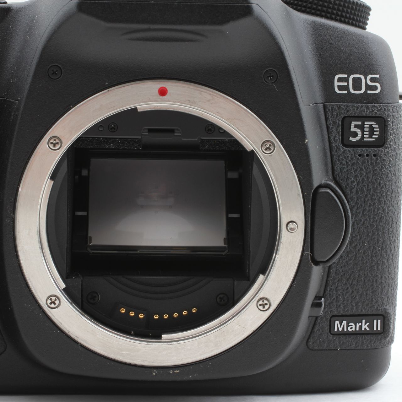 Canon EOS 5D MarkII ボディ - メルカリ