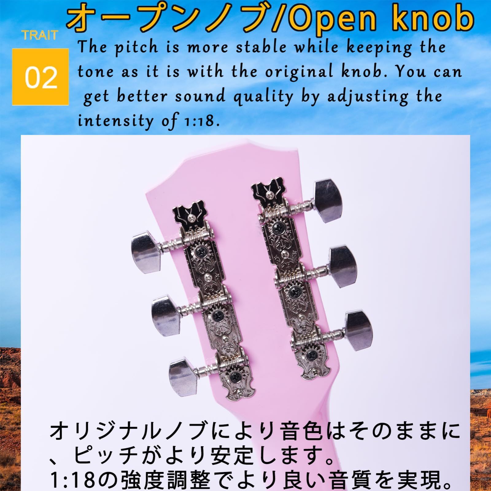 Aryari アコースティック