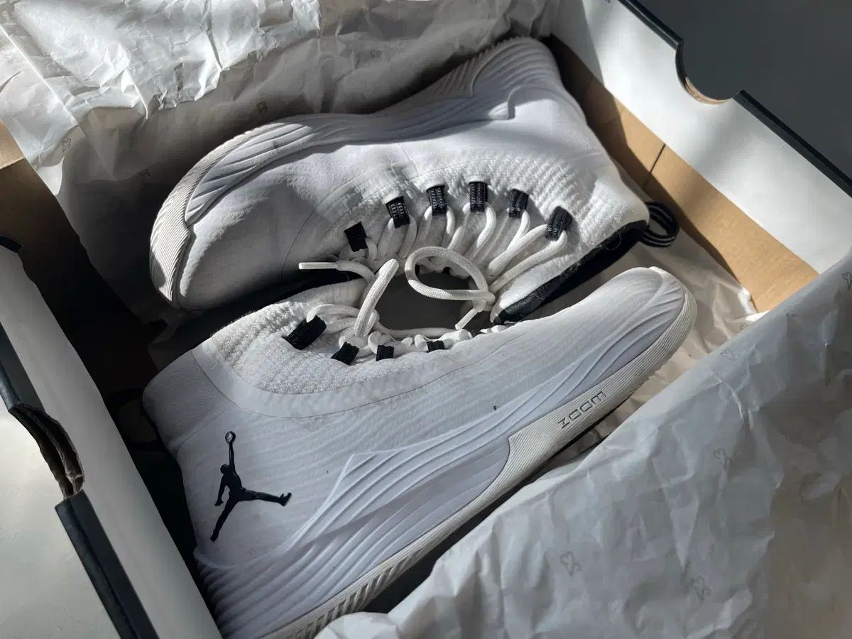 ナイキ ジョーダン ウルトラ フライ 2 バスケシューズ 255