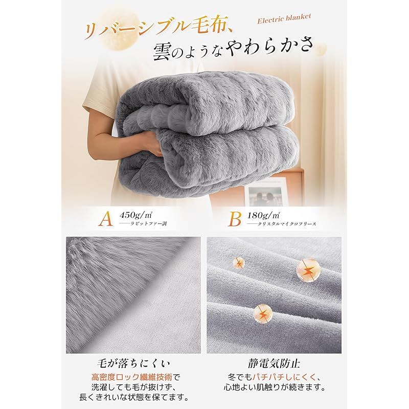 電気ブランケット ダニ