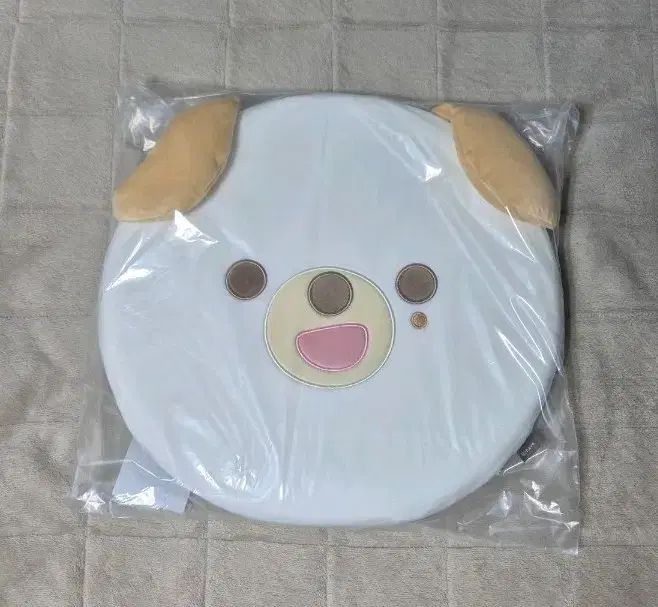 トレカ 付き フォトカード DAY 6 デイシックス プチマルズ ドン 방석