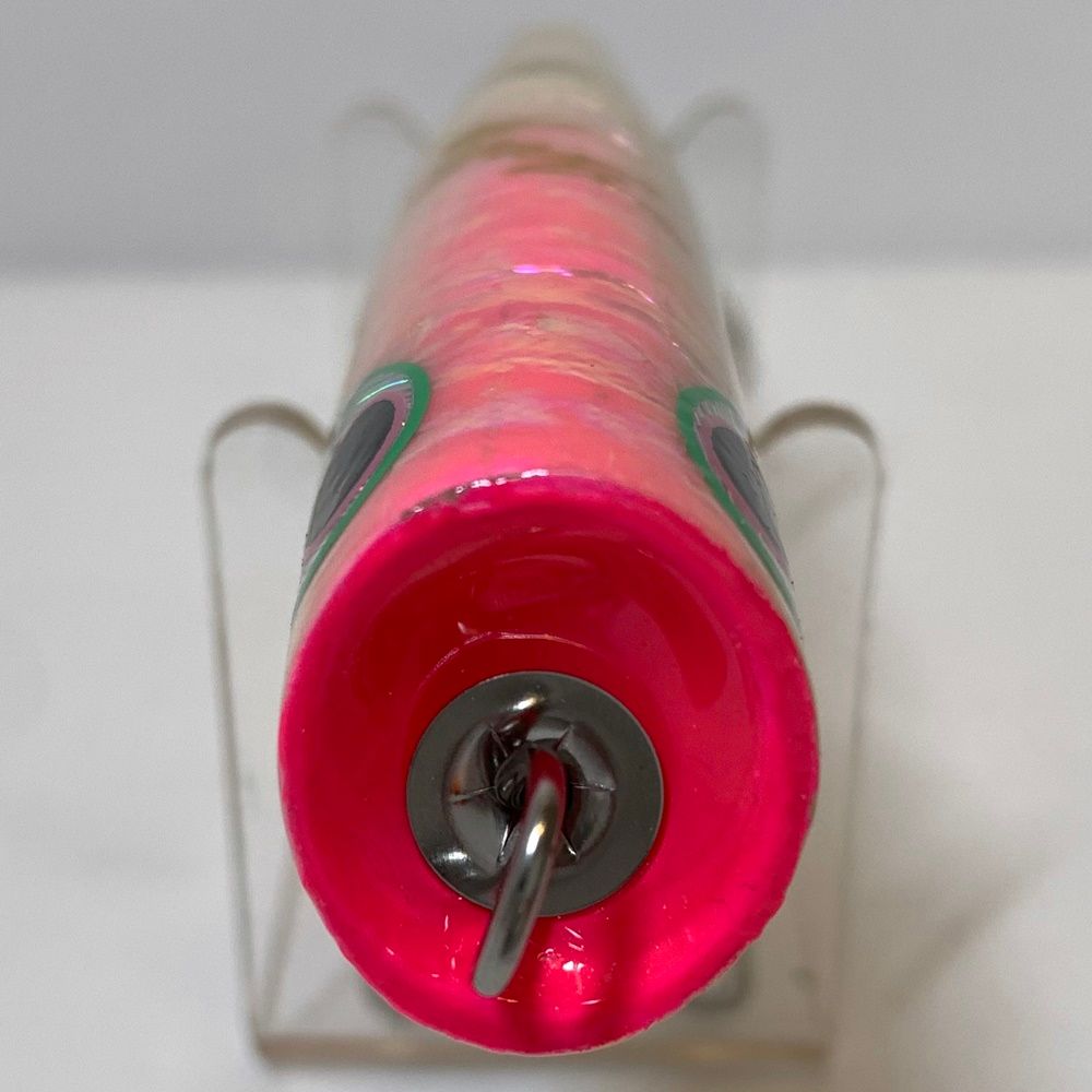 アポロ140 アワビ