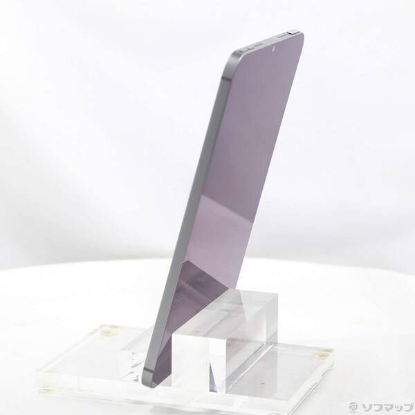 〔 品〕 iPad mini A 17 Pro 512 GB スペースグレイ MYHC 3 J SIMフリー 262