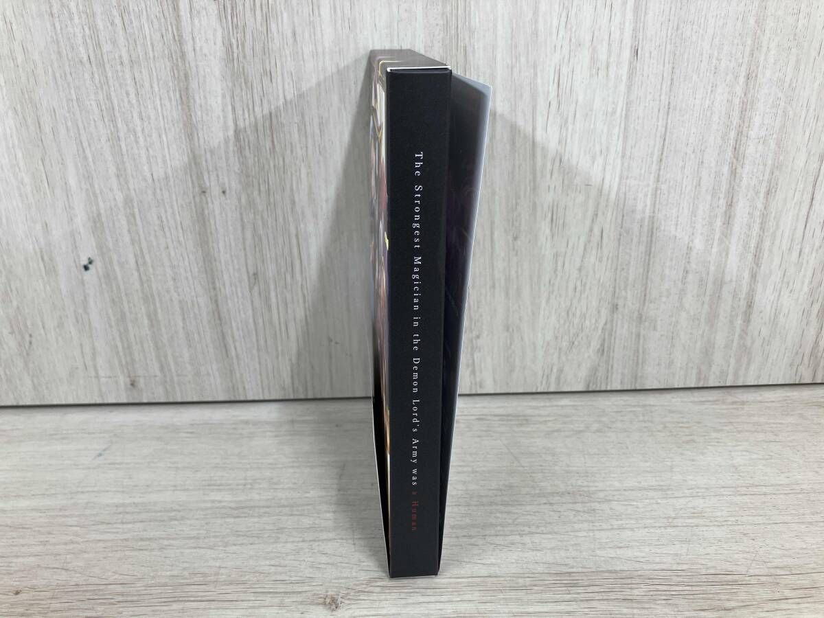 魔王軍最強の魔術師は人間だった